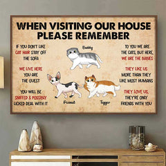 When Visiting My House Cat Walking - Personalized Horizontal Poster